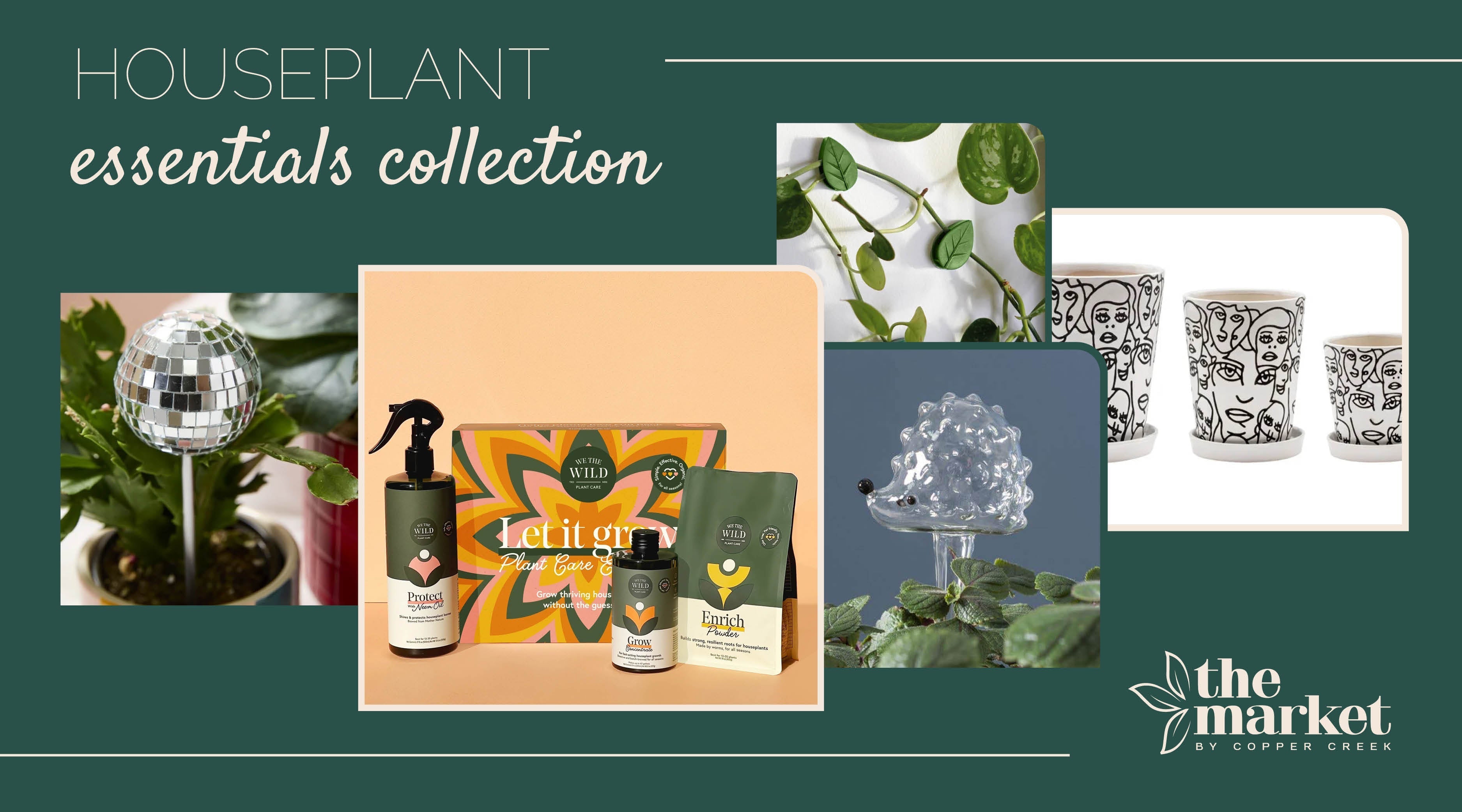 Houseplant Essentials Collection