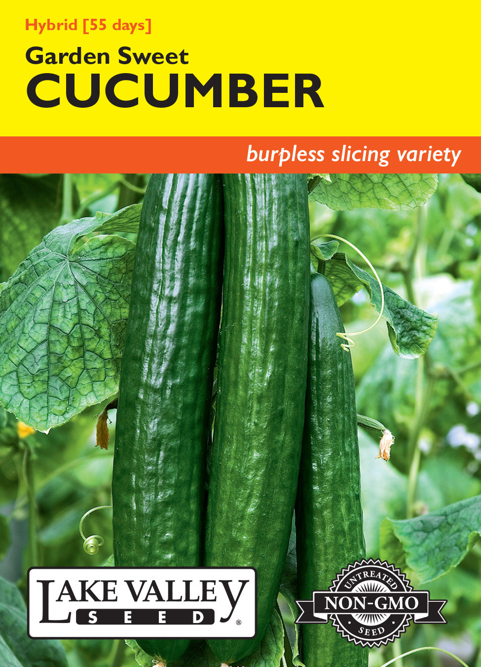 Cucumber Garden Sweet Hybrid (Burpless) Seeds