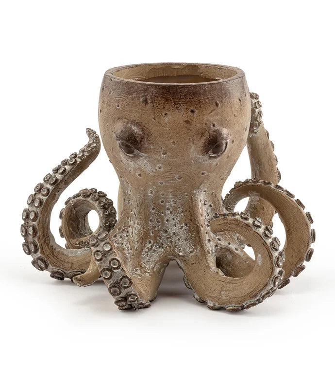 Octopus Planter