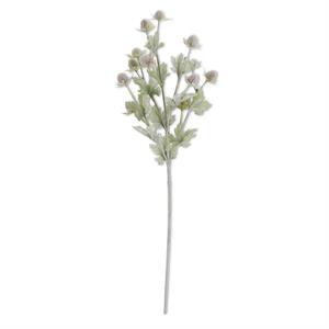 Thistle Stem