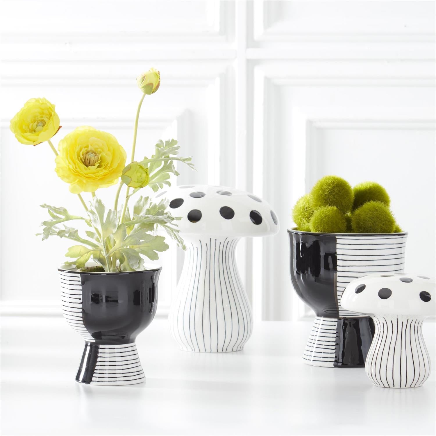 Ranunculus in Clay Pot