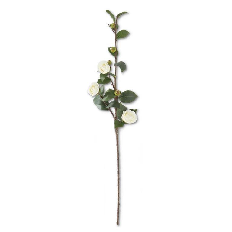 White Camellia Stem