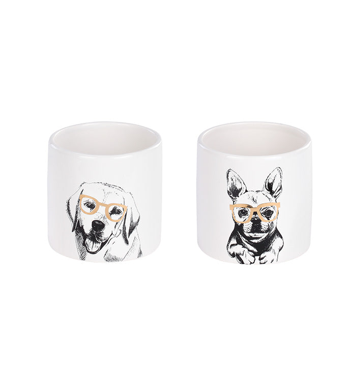 Dog Planter