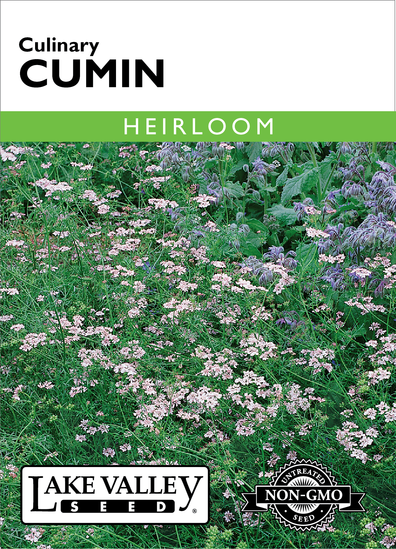 Cumin Culinary Seeds