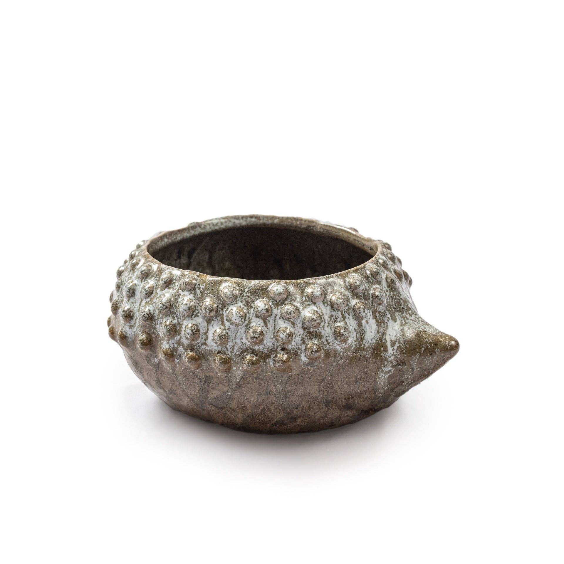 Ceramic Hedgehog Planter