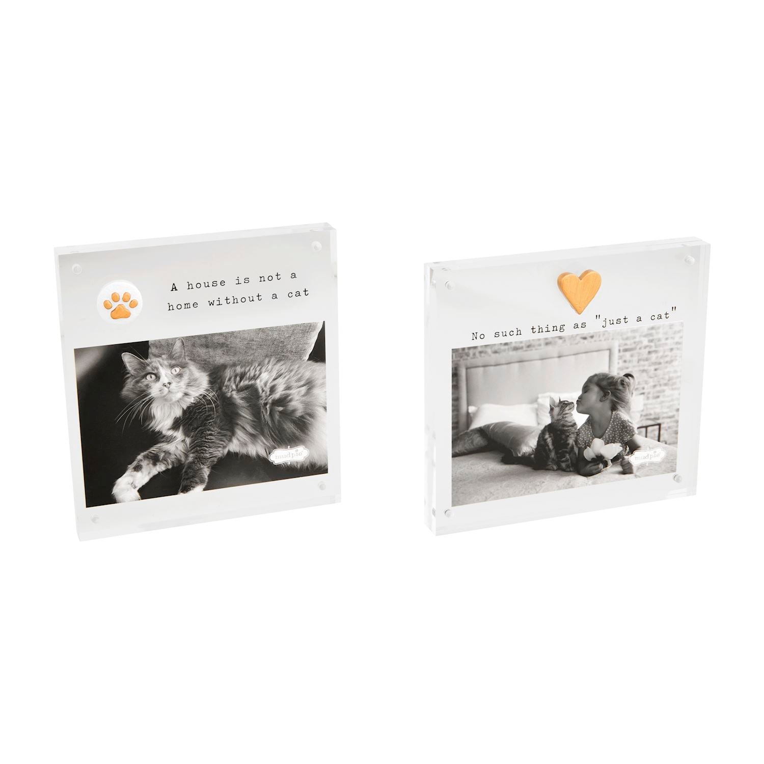 Cat Acrylic Frames
