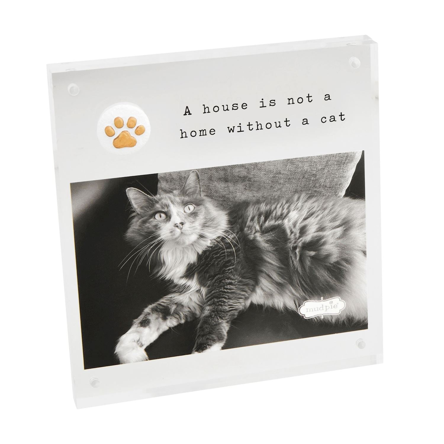 Cat Acrylic Frames