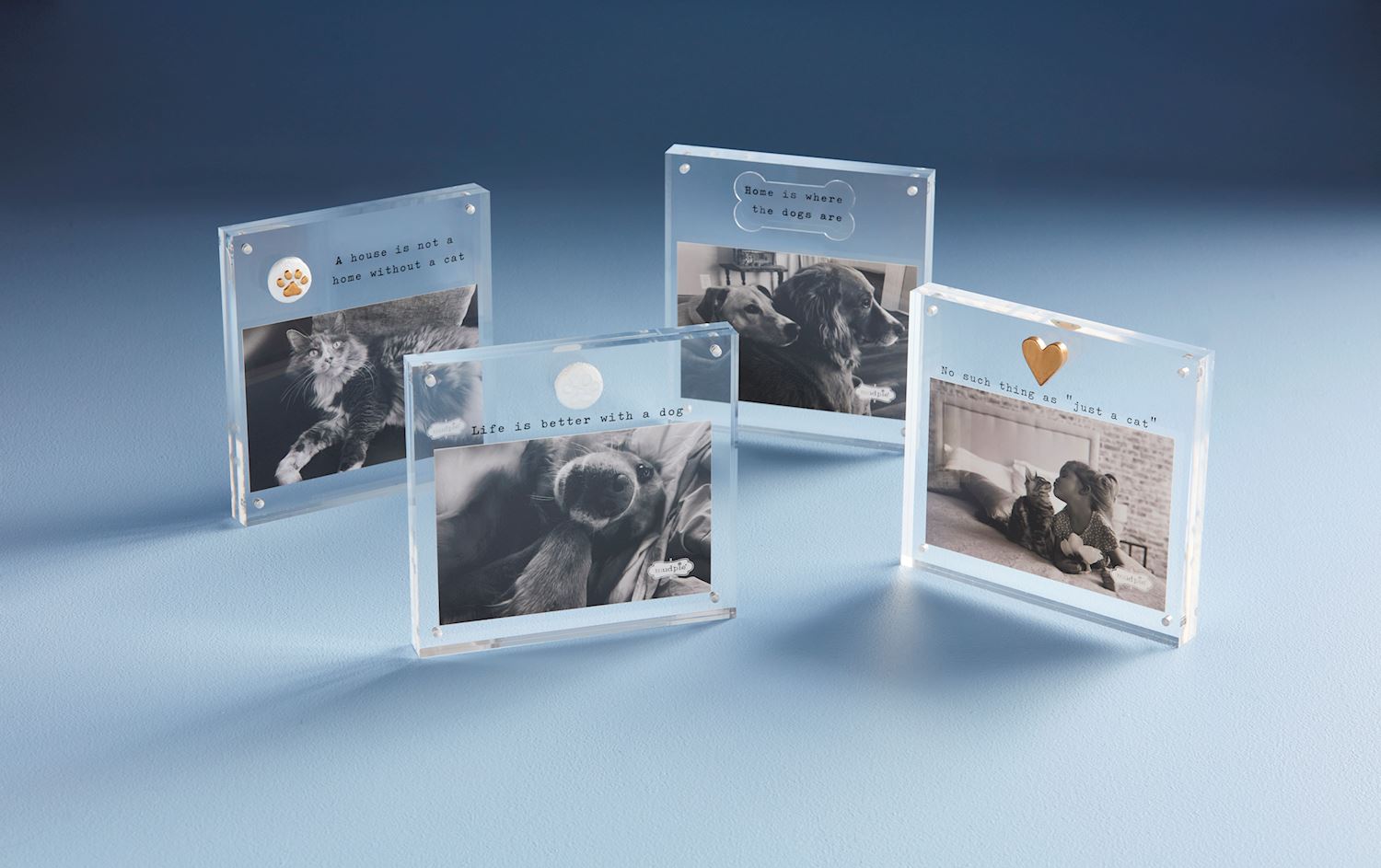 Cat Acrylic Frames