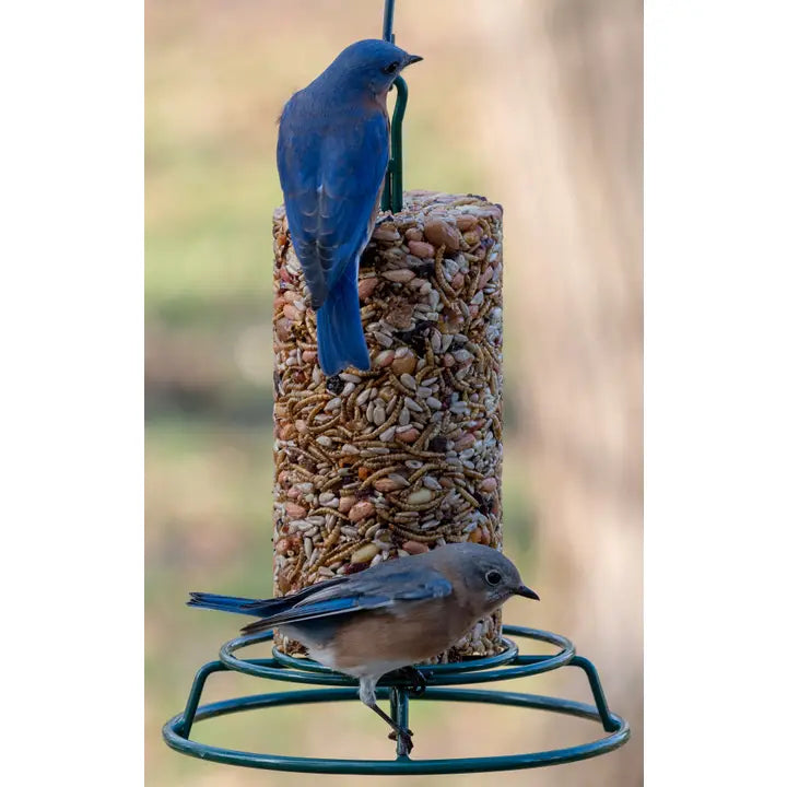 Bugs, Nuts, & Fruit Cylinder