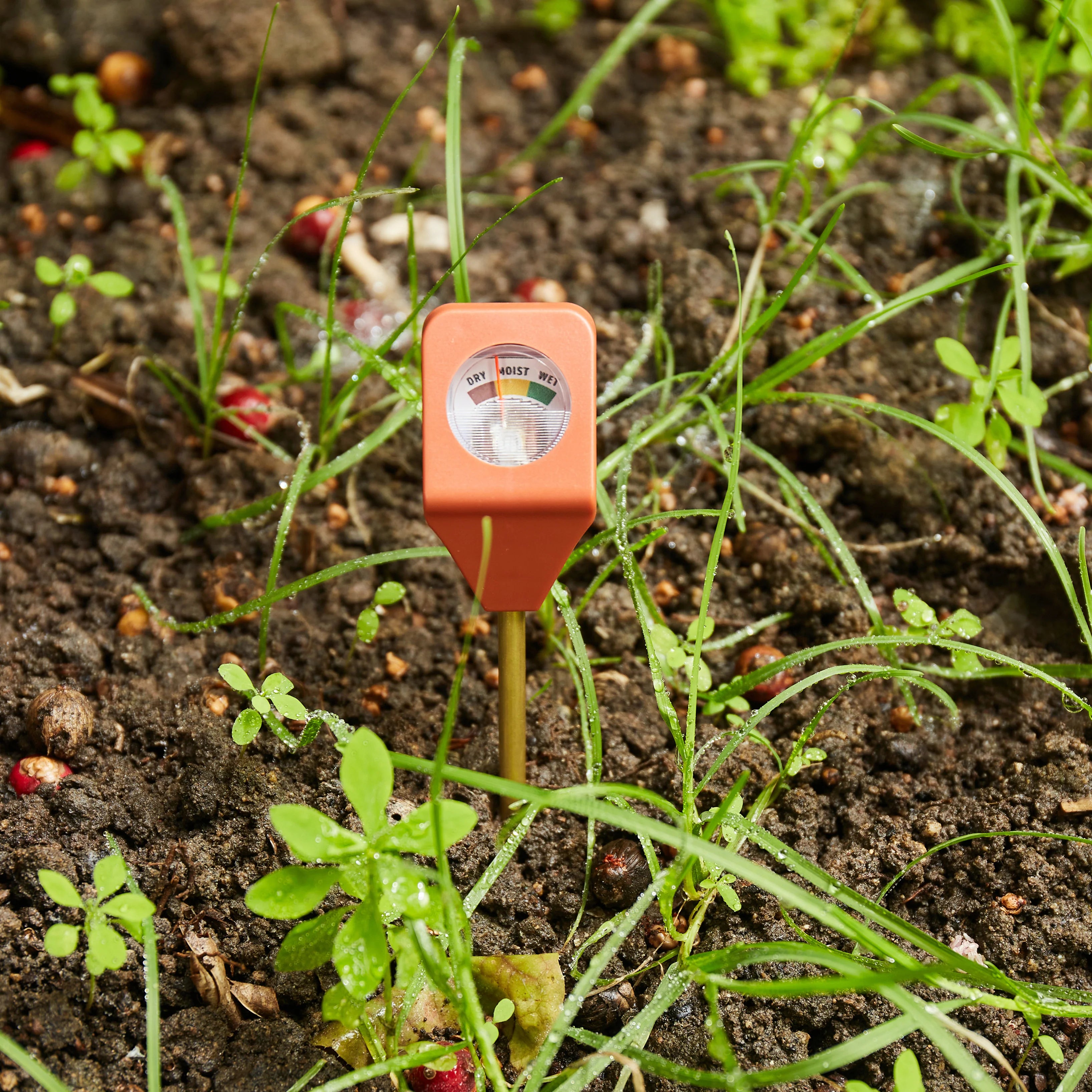 Garden Hyrdometer