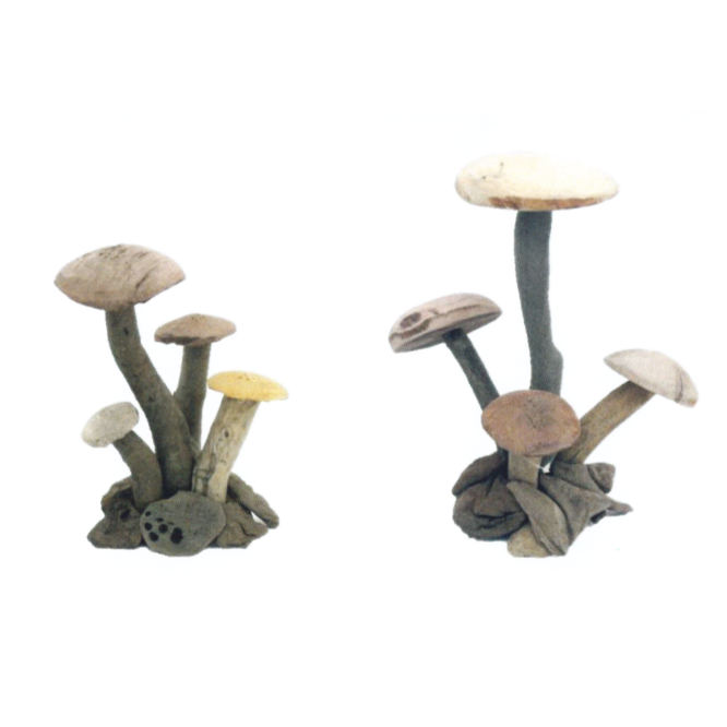 Driftwood Mushroom