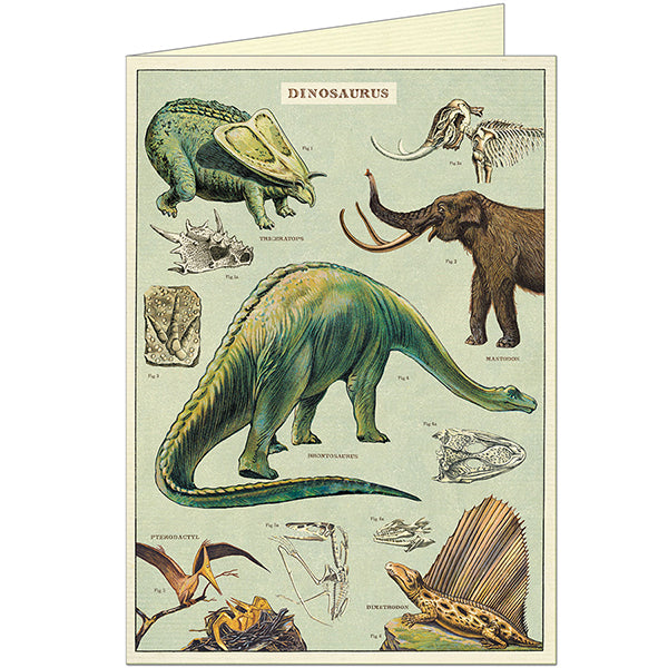 Greeting Card & Envelope