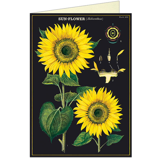 Greeting Card & Envelope