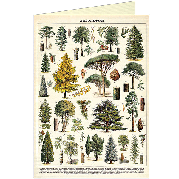Greeting Card & Envelope