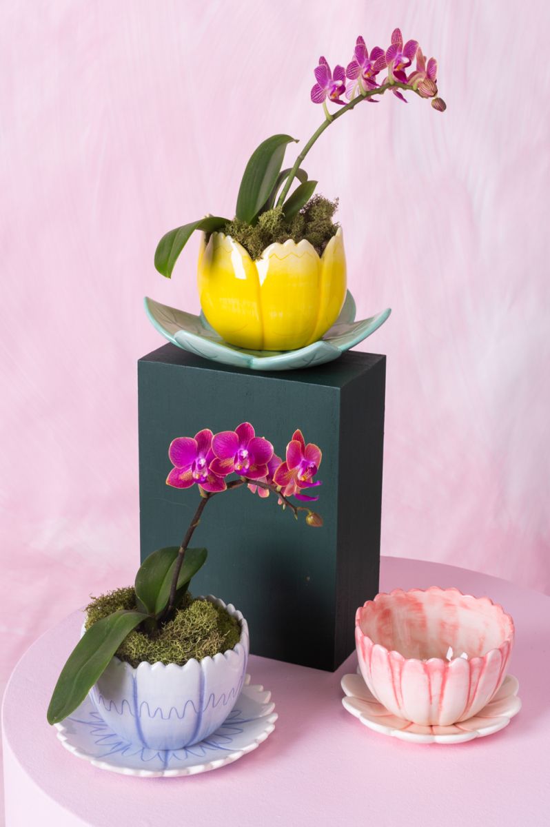 Little Flower Pot