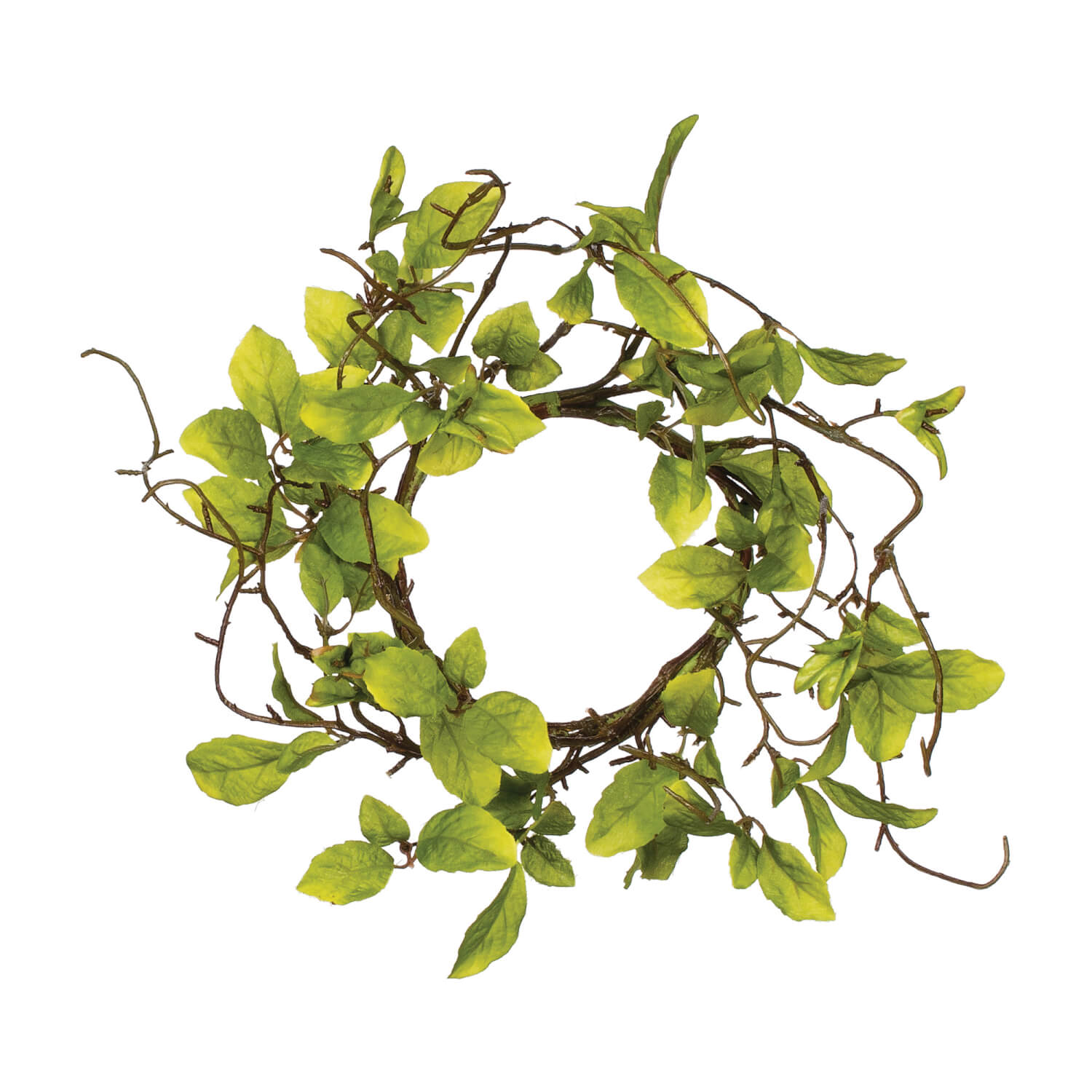 Leaf and Twig Accent Ring