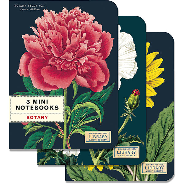 Set of 3 Mini Notebooks