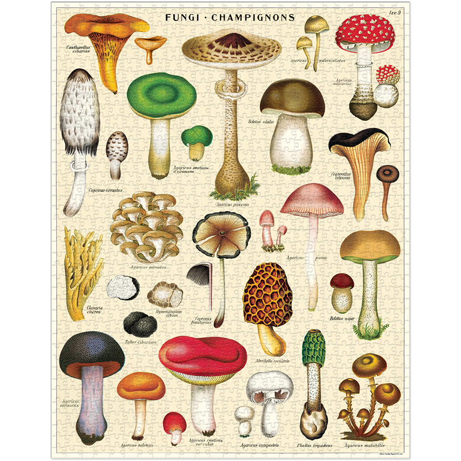 Mushrooms Puzzle