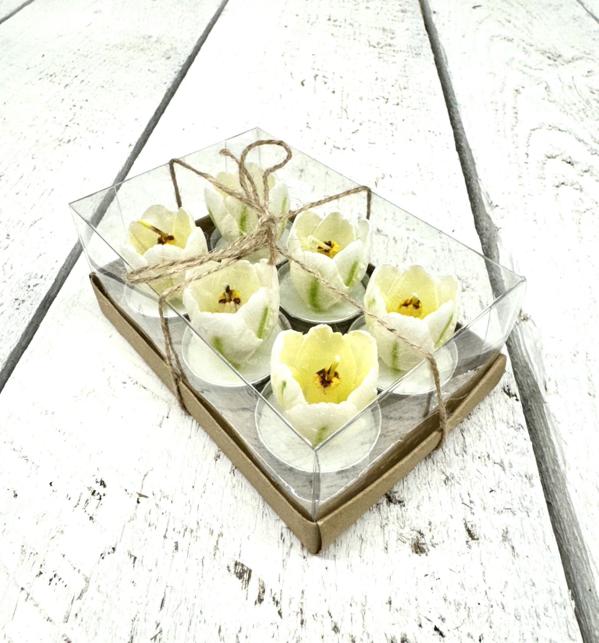 Tulip T-Lights