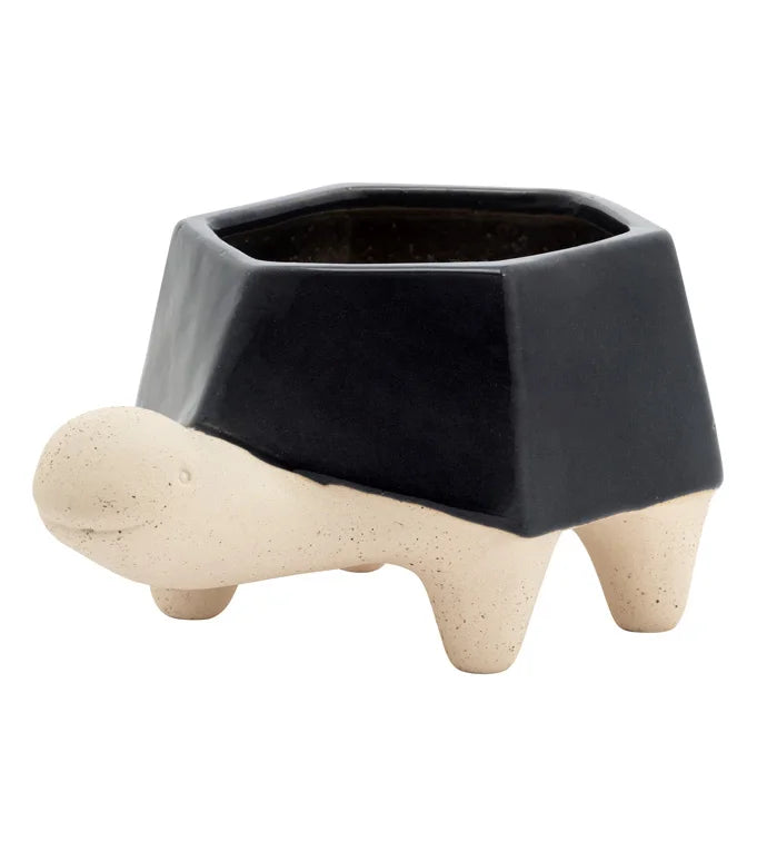 Geometric Turtle Planter
