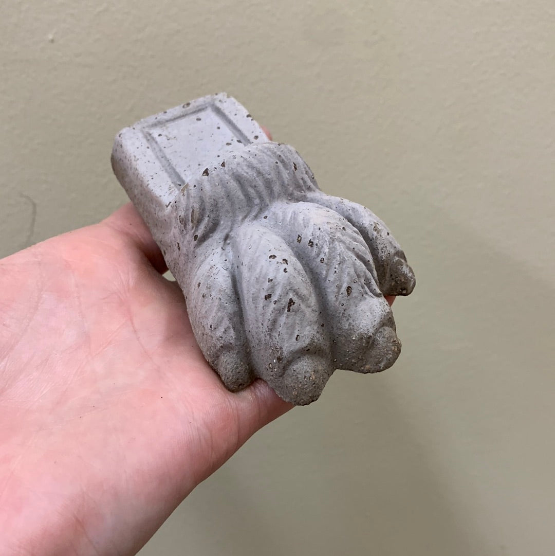 Lion Paw